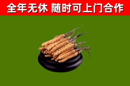 临高县烟酒回收冬虫夏草.jpg